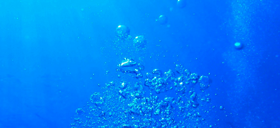 生命の源　2510ショップ